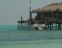 Andros une ile encore sauvahe au Bahamas