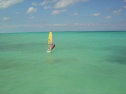 windsurf