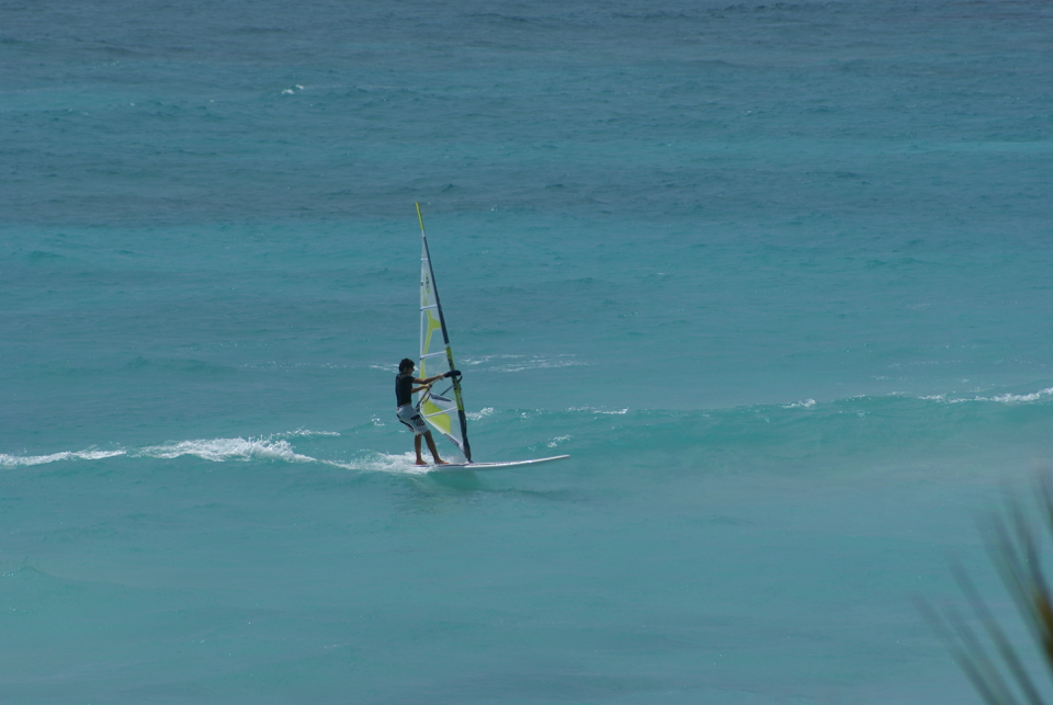 surf sur le reef