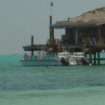 Andros une ile encore sauvahe au Bahamas