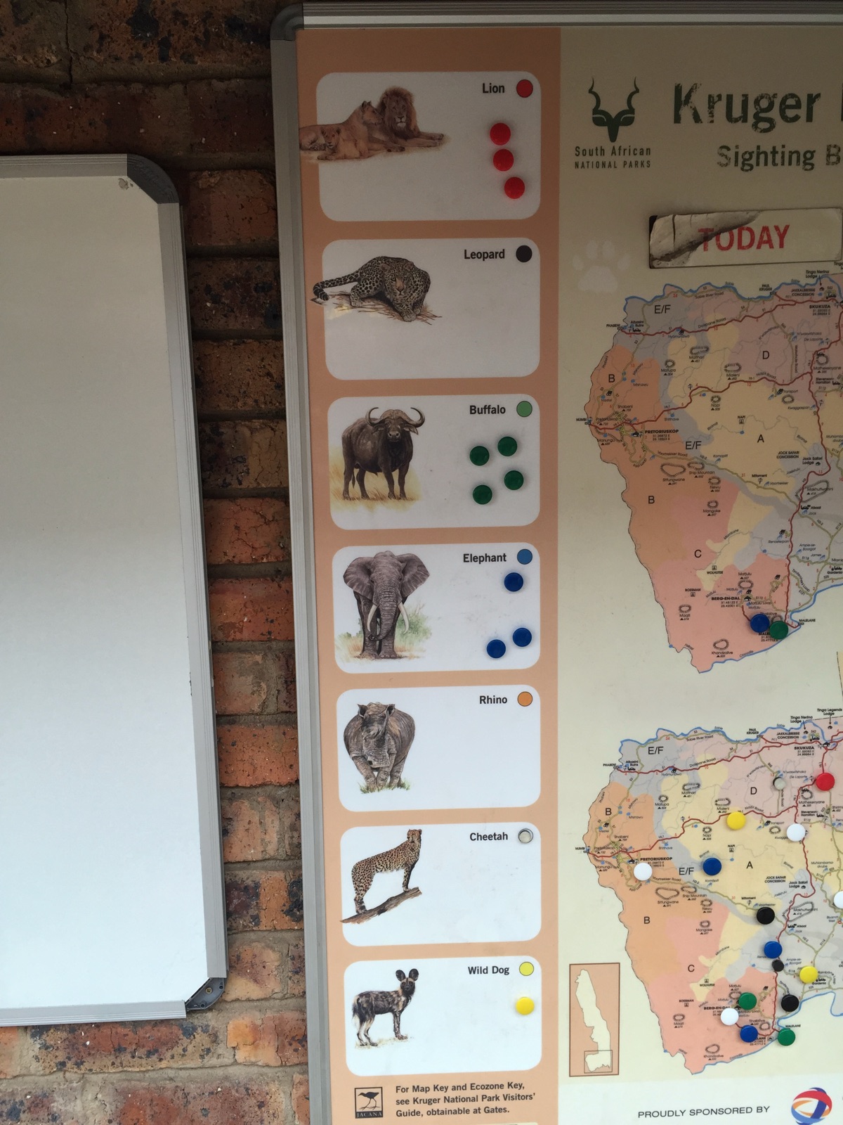 Tableau des observations d'animaux dans un camp du Kruger Park
