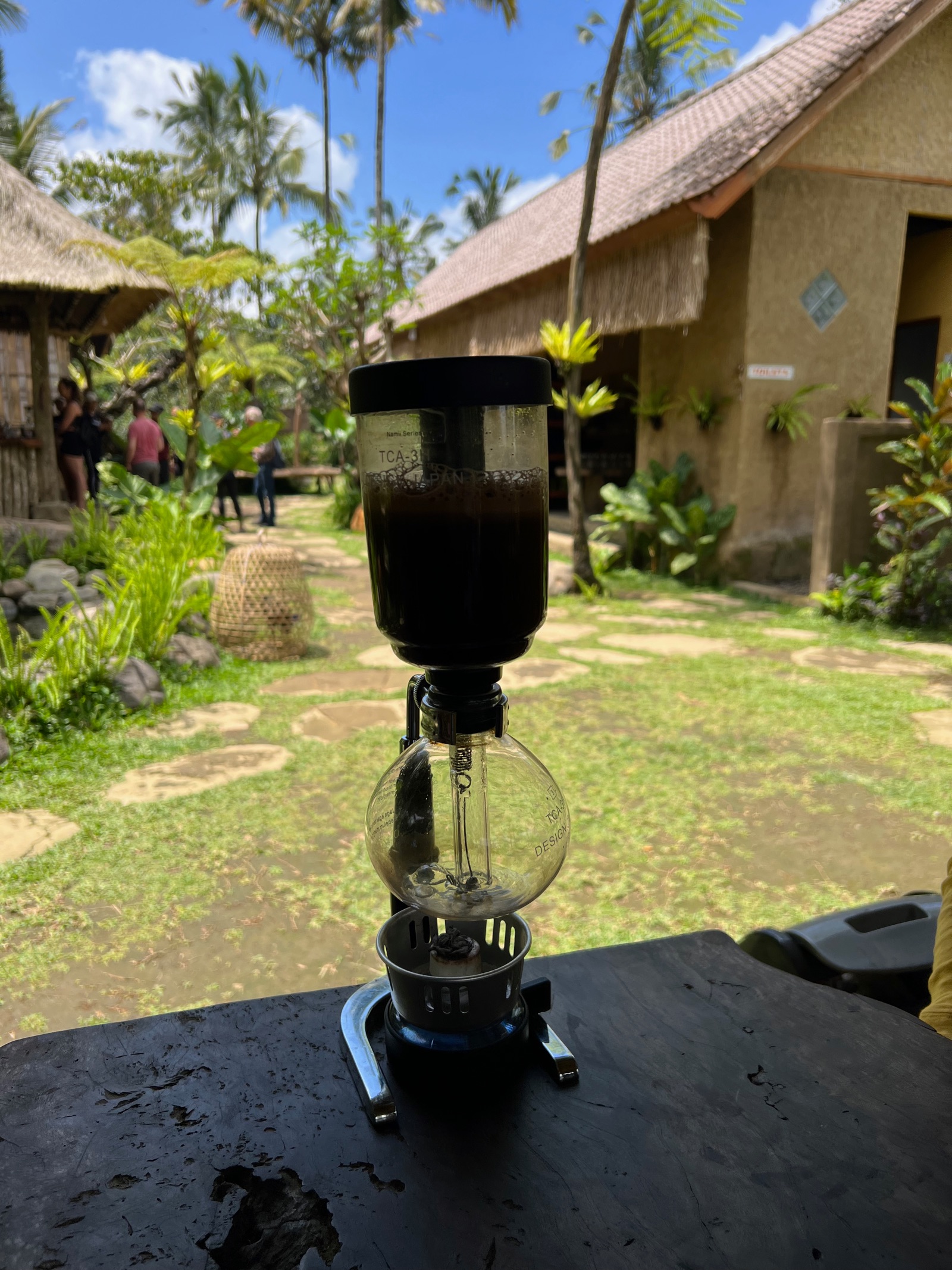 Cafetière à siphon dans une plantation de café près d'Ubud