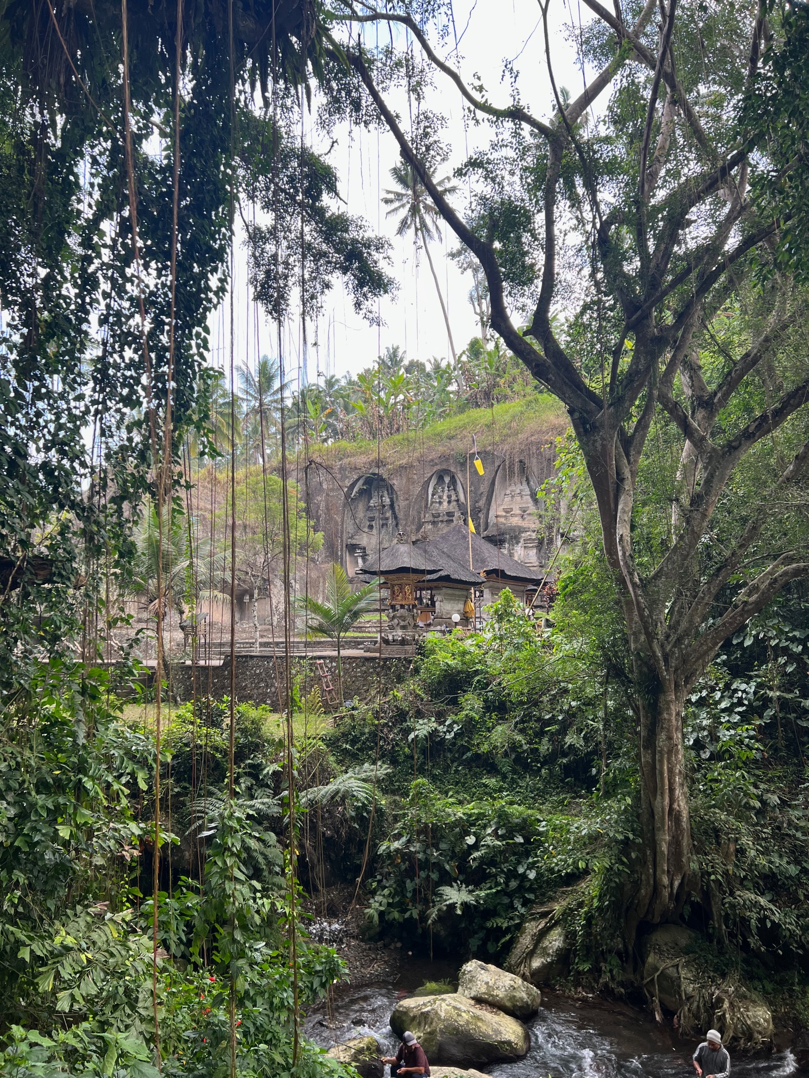 Rivière et jungle dans le vallon du temple de Gunung Kawi à Bali