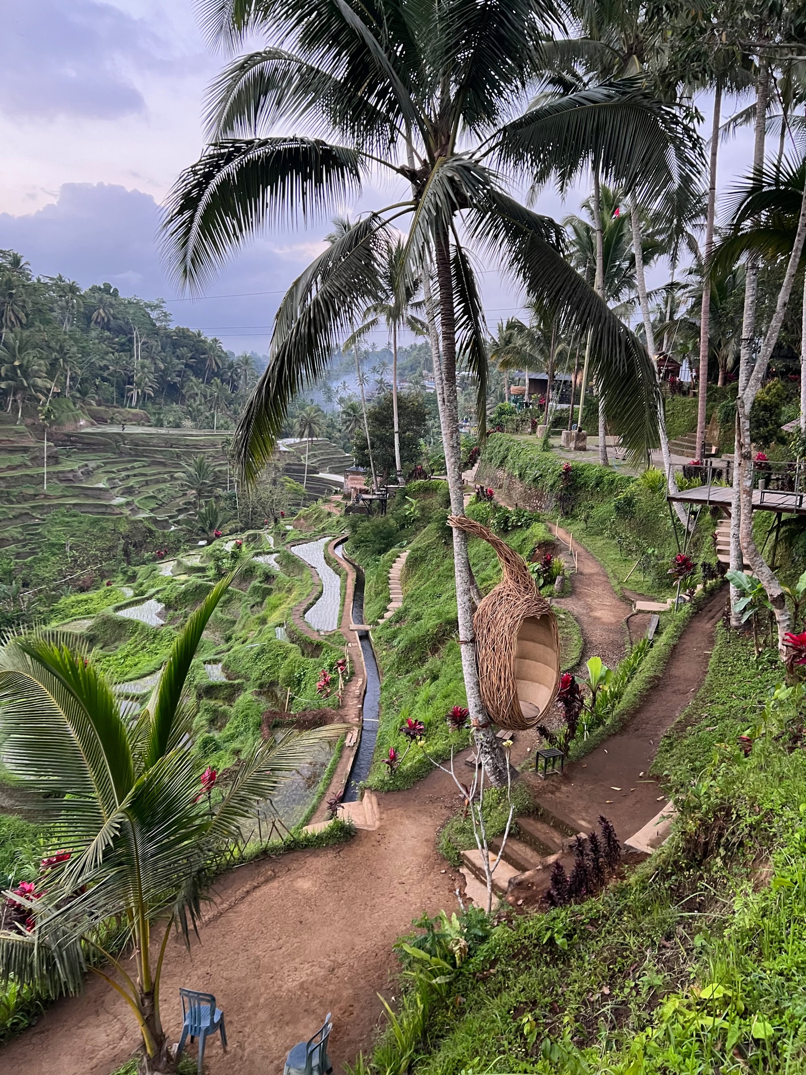 Sentier dans les rizières en terrasses de Tegallalang