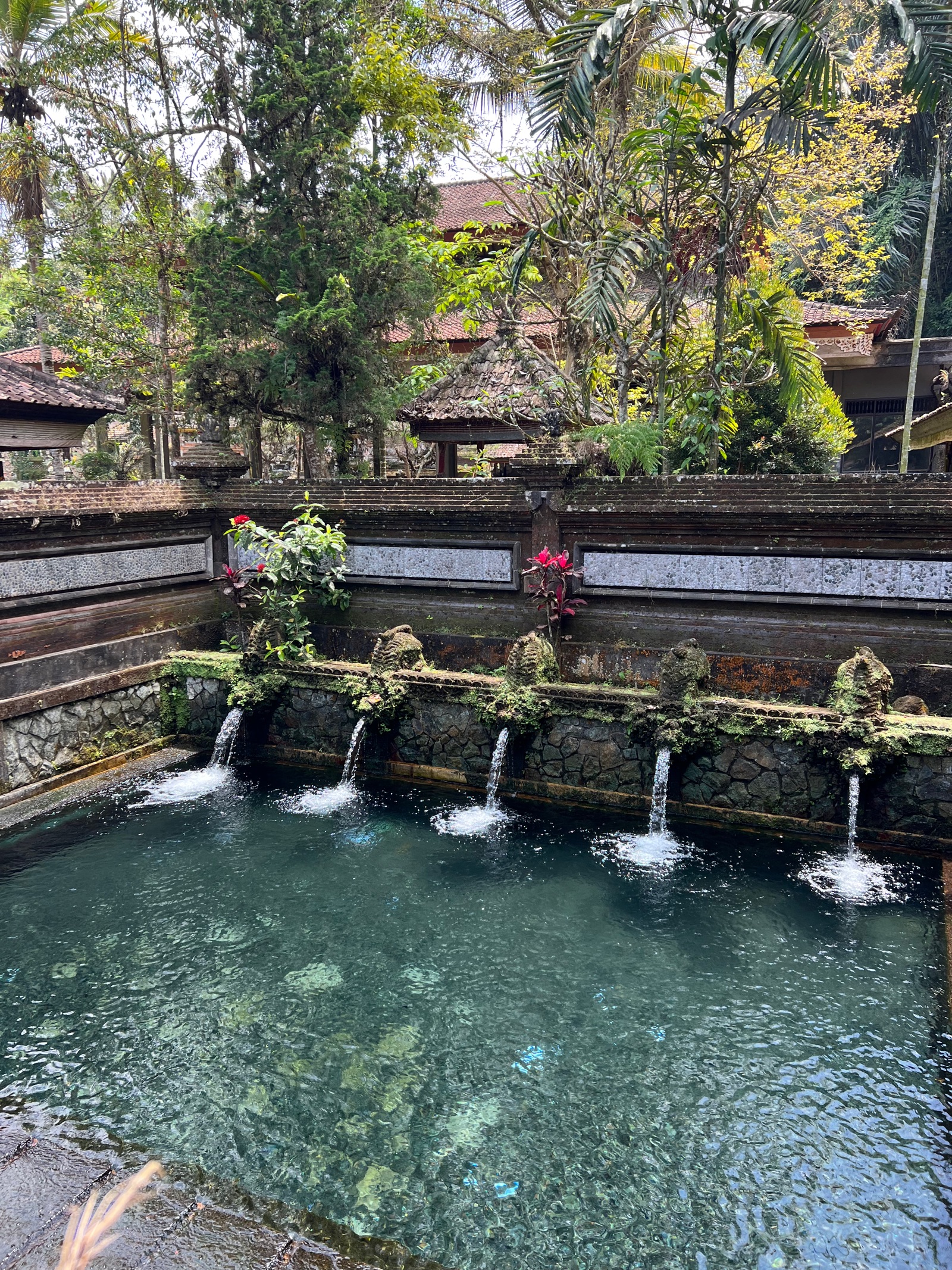Fontaines sacrées du bassin de purification de Tirta Empul