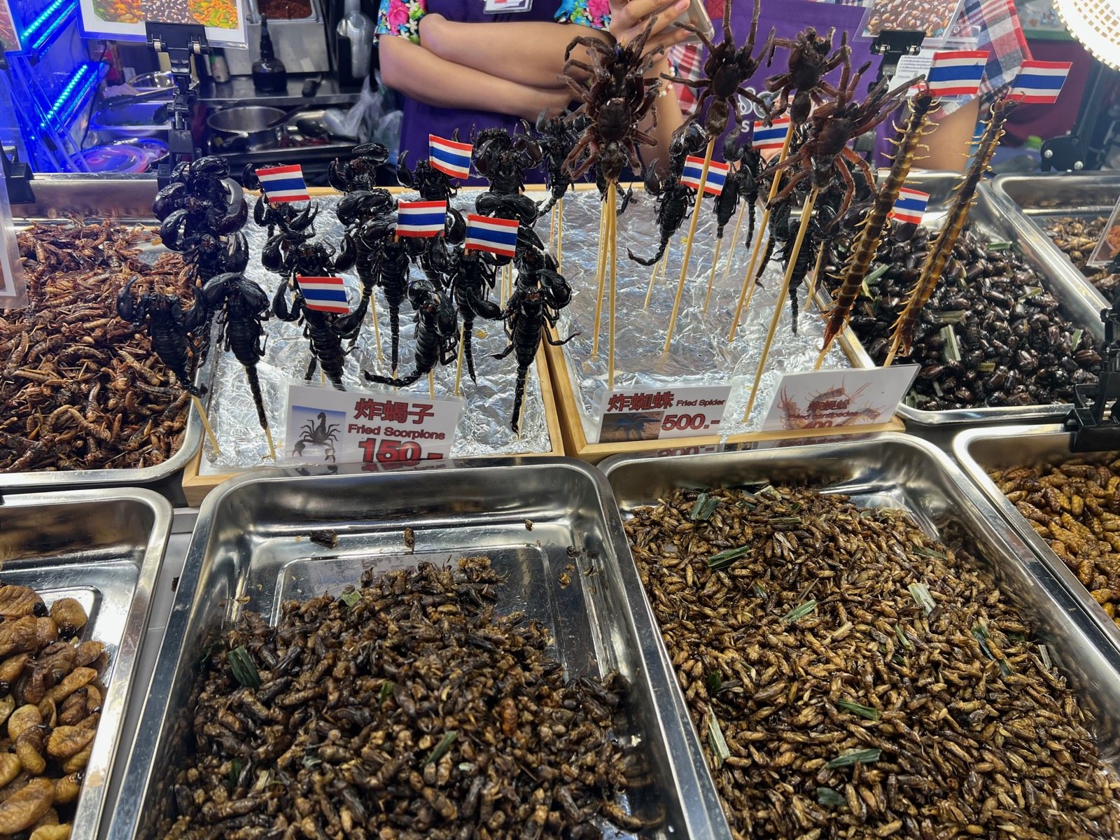 Brochettes de scorpions et d'insectes grillés