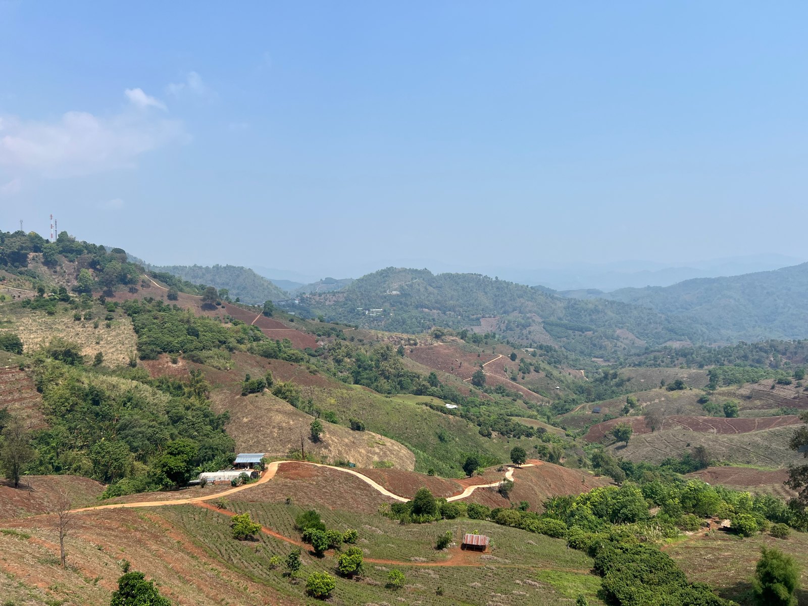Collines cultivées et montagnes autour de Doi Mae Salong