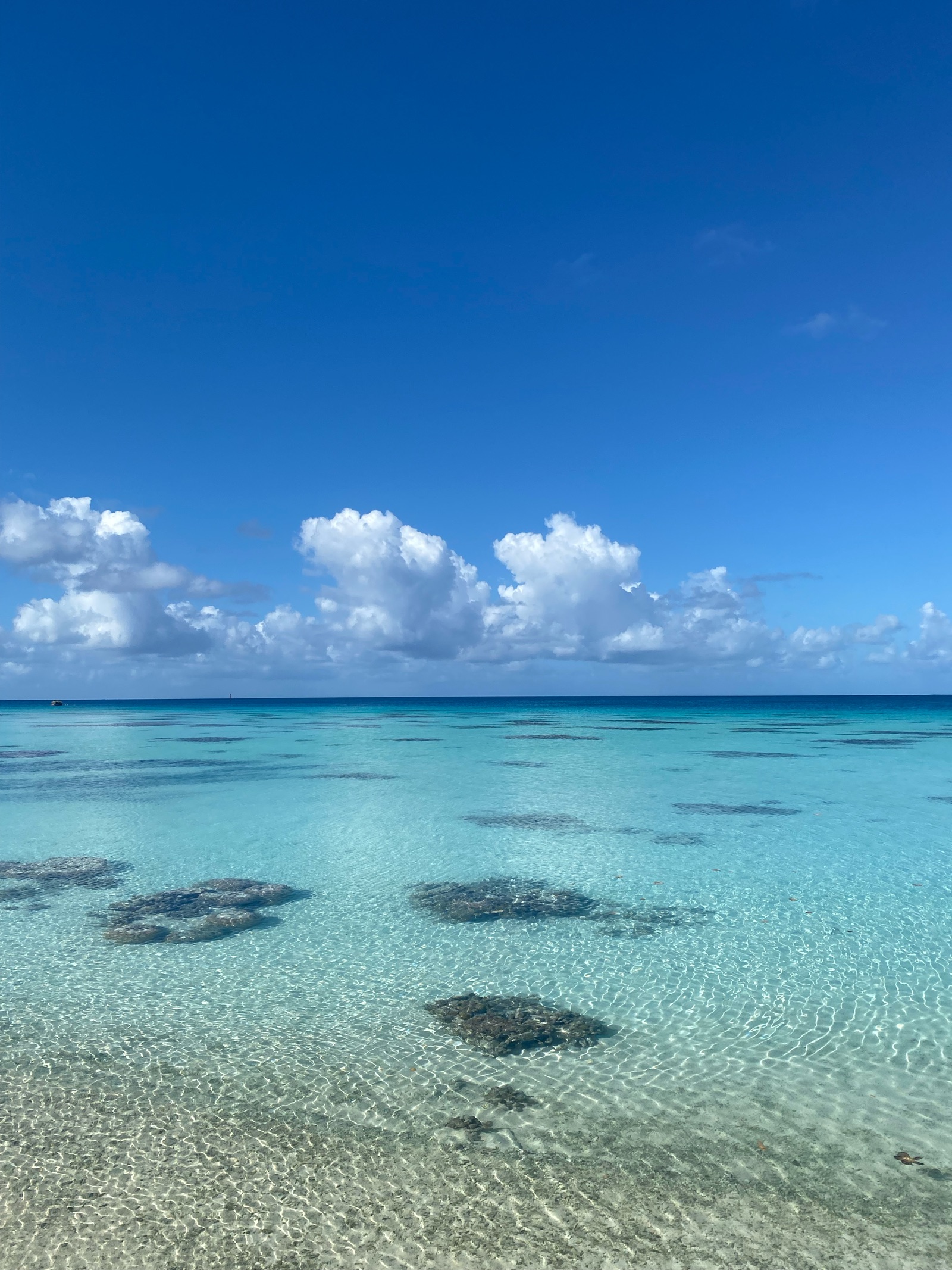 Eau cristalline et coraux dans le lagon de Fakarava