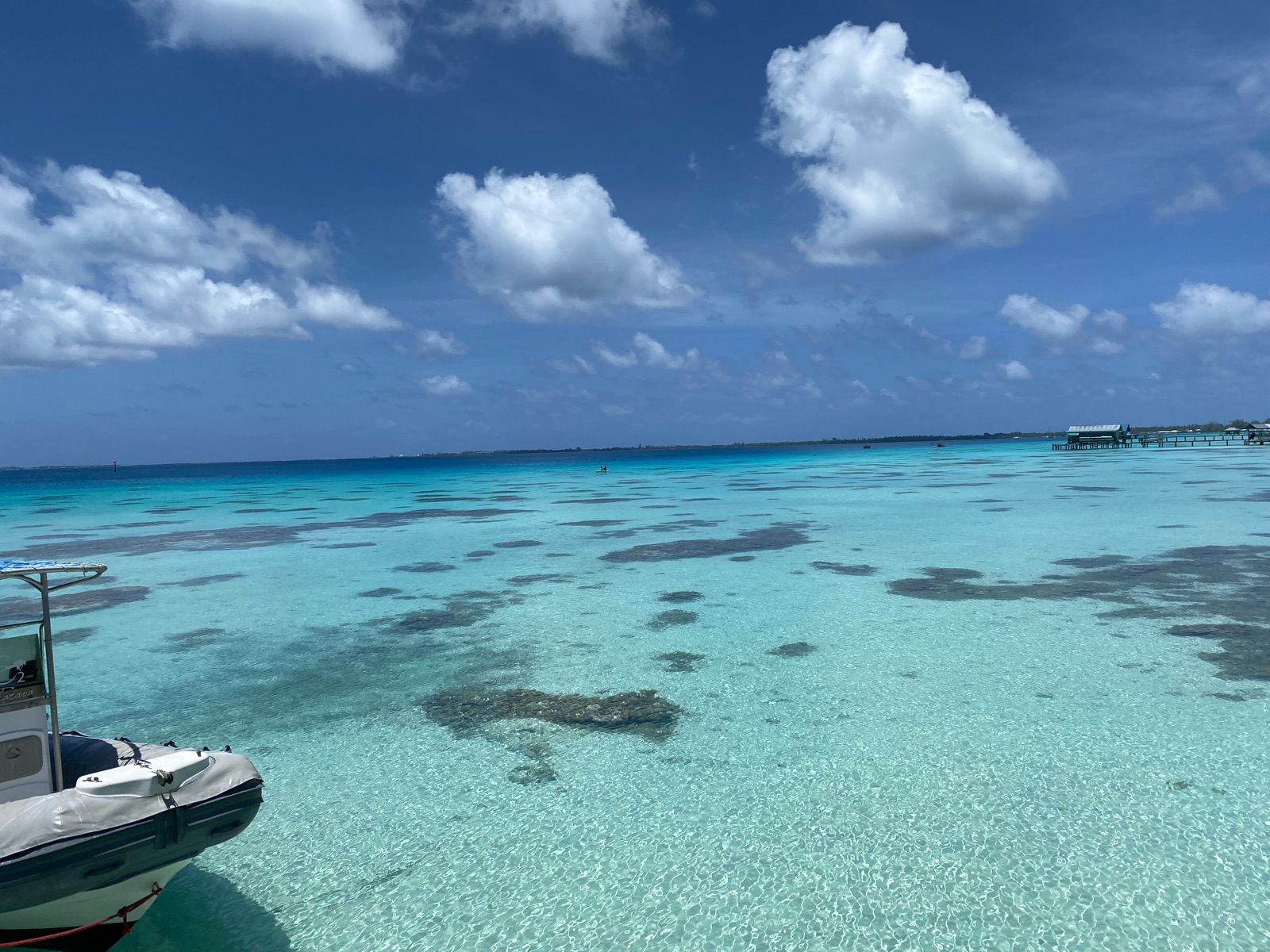 Patates de corail dans le lagon de Fakarava