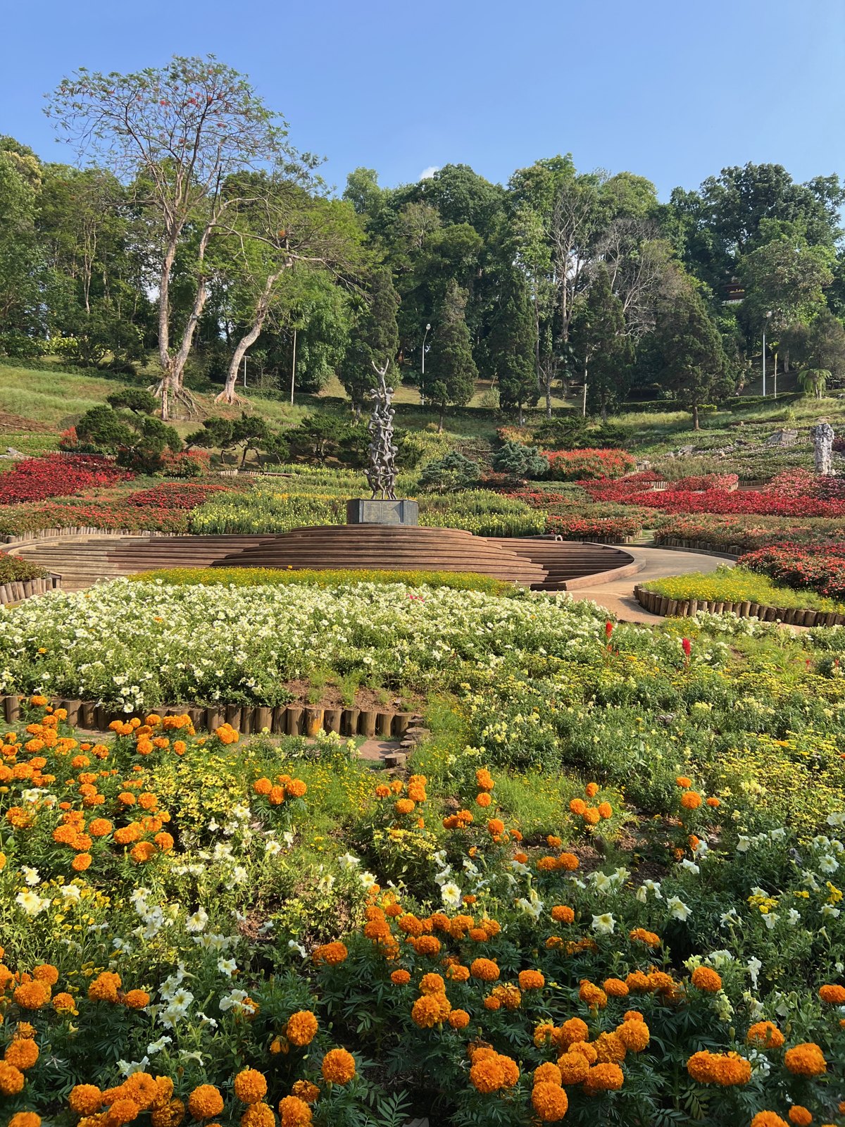 Parterres de fleurs colorées dans les jardins de Mae Fah Luang à Doi Tung