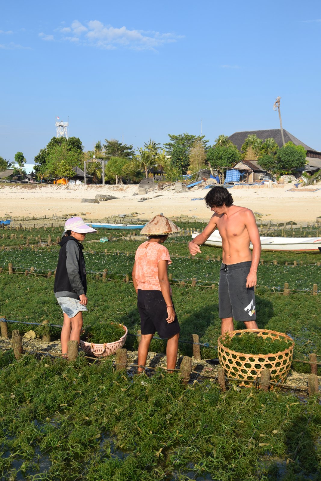 Paul, la cultivatrice et une autre personne autour de deux paniers d'algues dans une parcelle de Nusa Lembongan