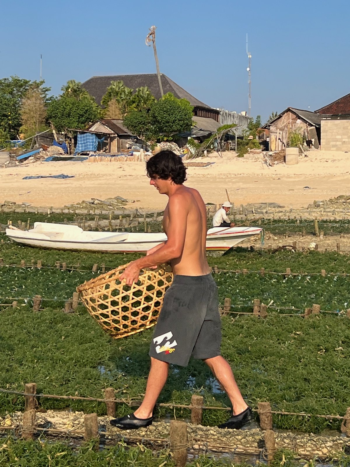 Paul marche le long d'une parcelle d'algues en portant un panier en bambou