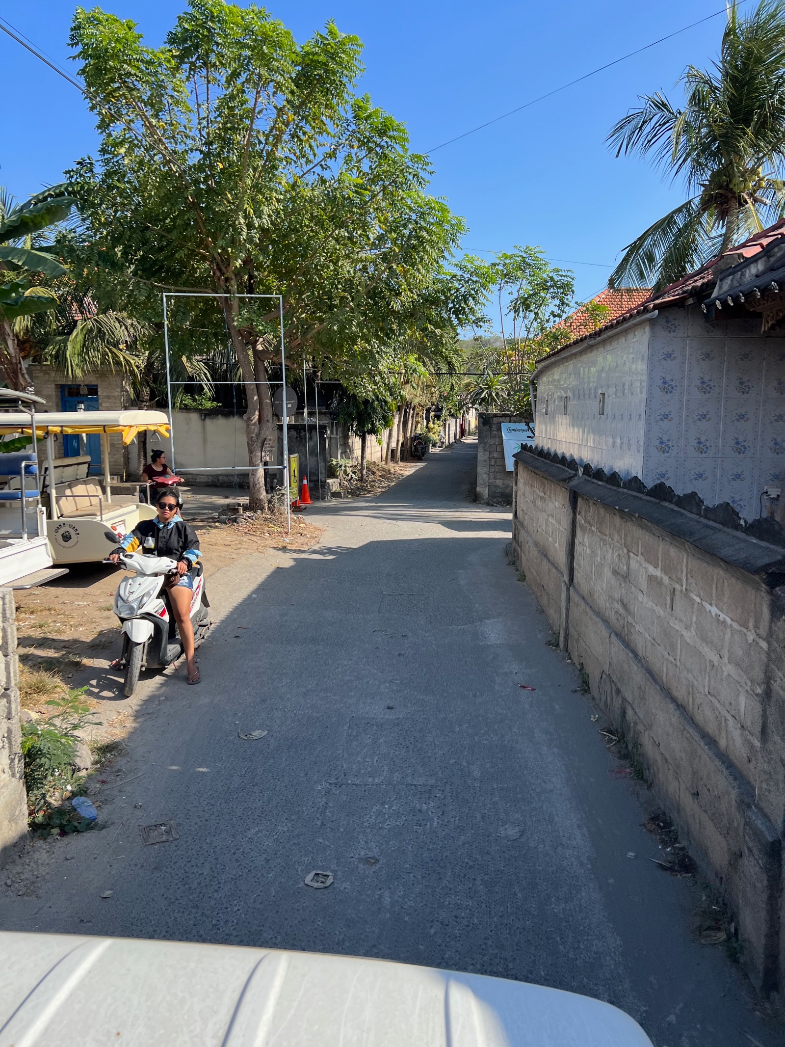 Ruelle bordée d'arbres dans un village de Nusa Lembongan