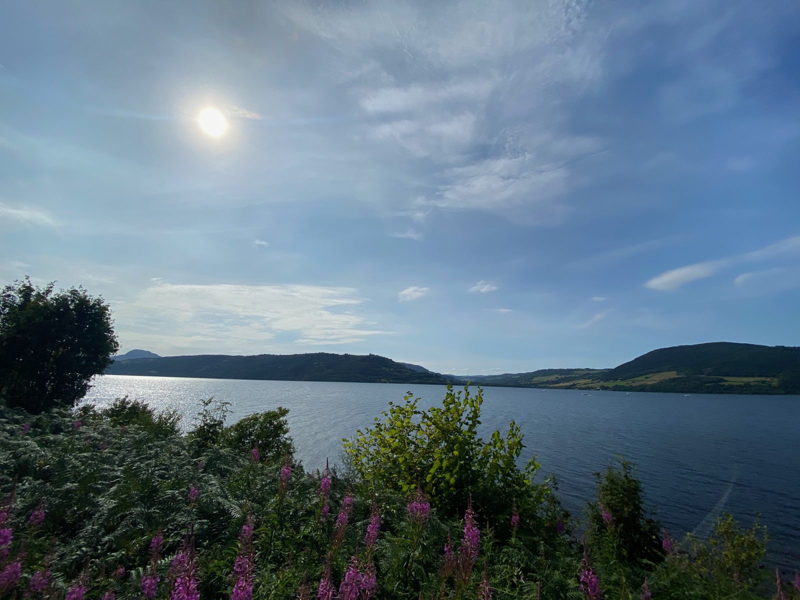 Le Loch Ness vu depuis sa rive sud, bordé de bruyère en fleurs