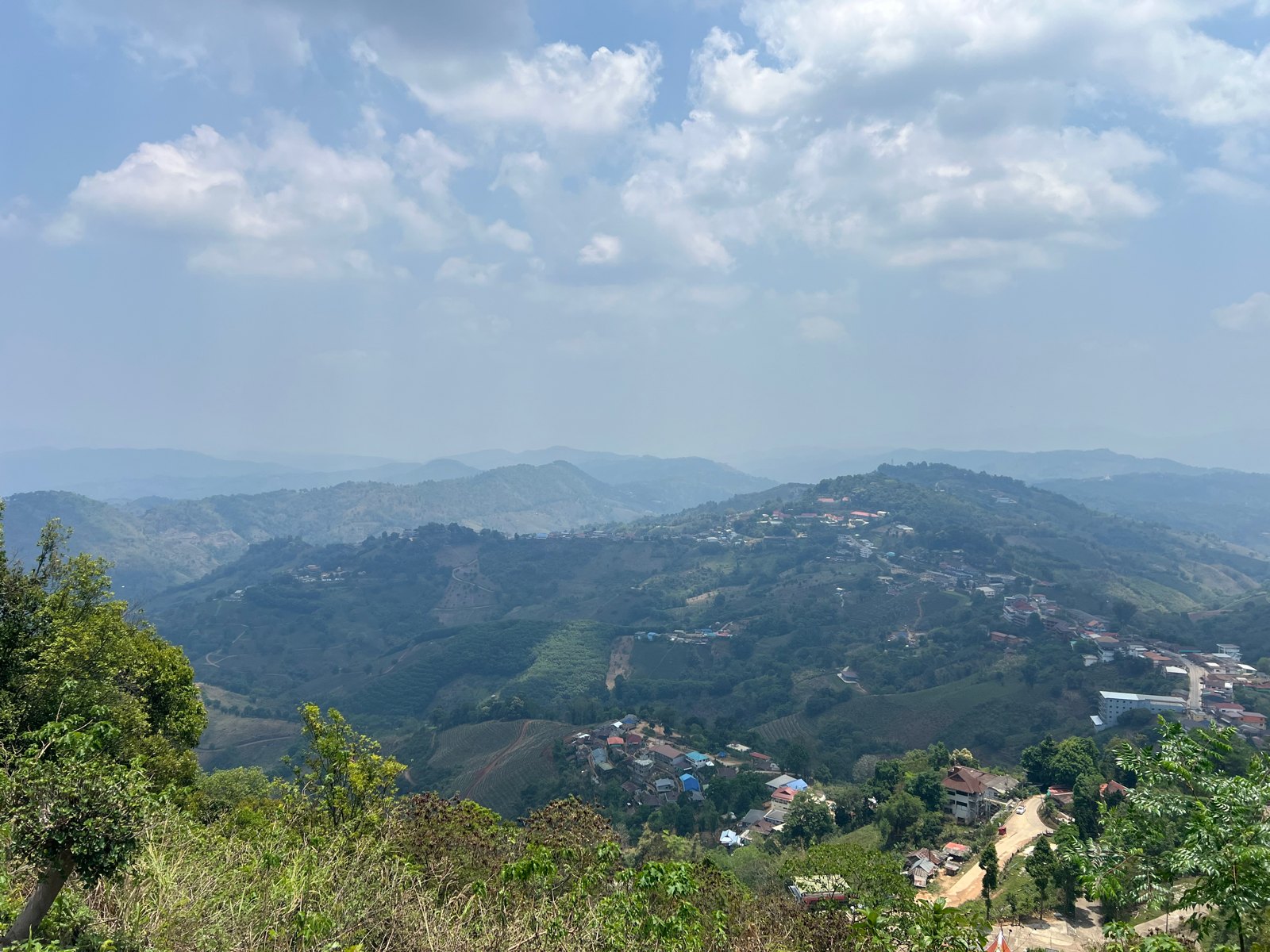Panorama sur les montagnes boisées depuis Doi Mae Salong