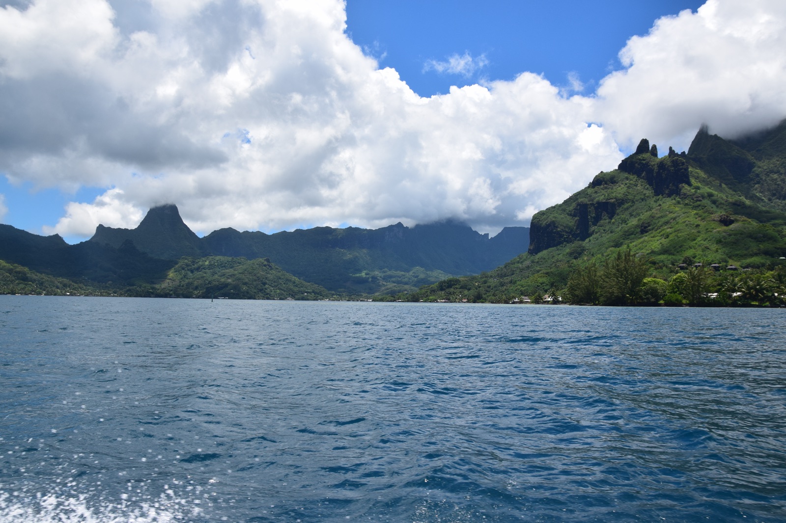 Sortie en bateau dans la baie de Cook à Moorea