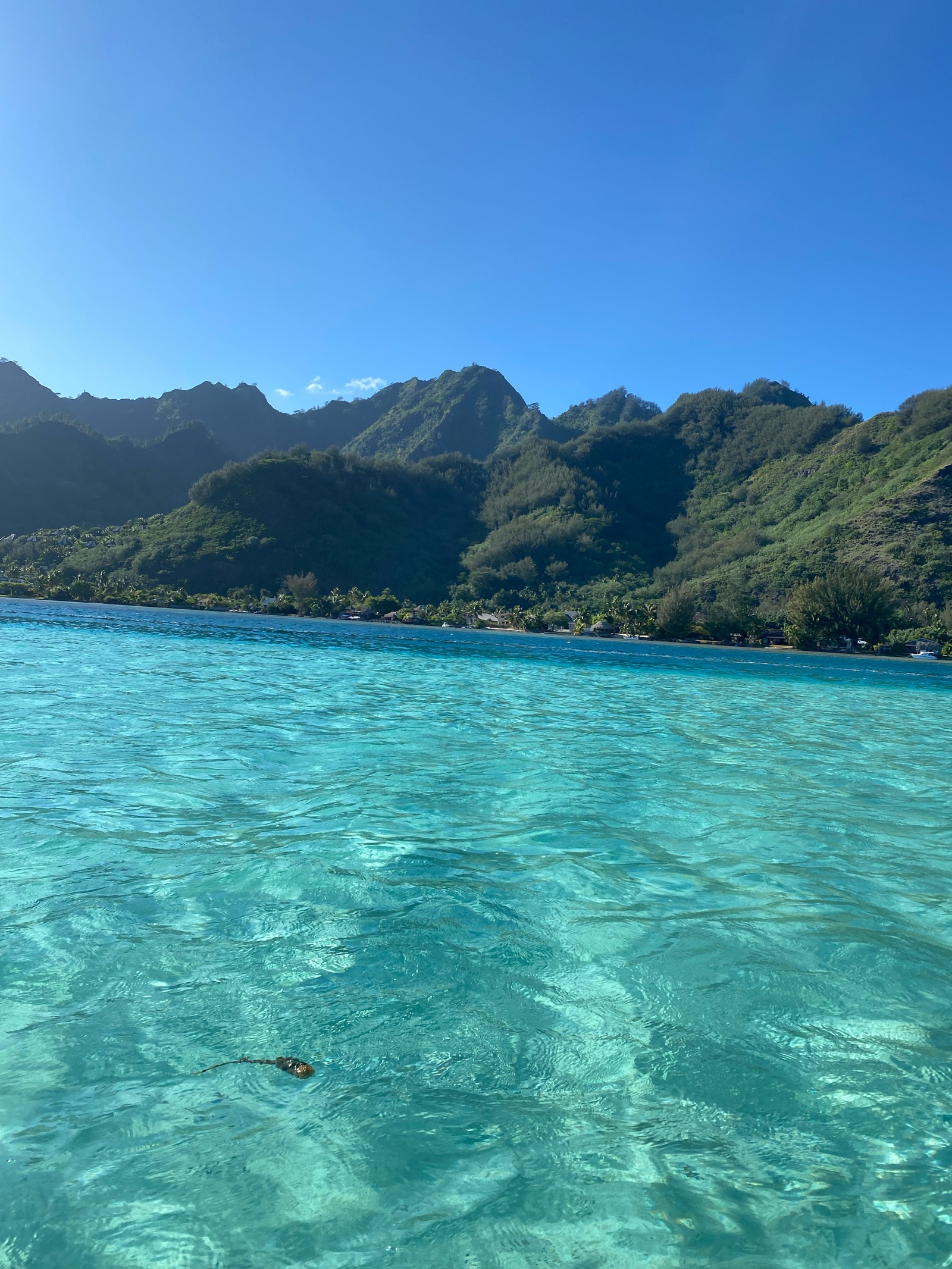 Lagon turquoise de Moorea au pied des montagnes