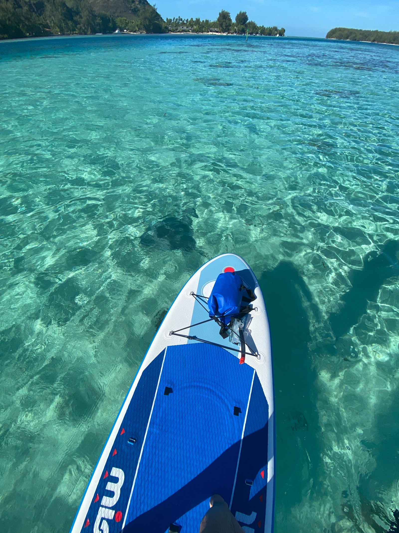 Paddle sur l'eau cristalline du lagon de Moorea