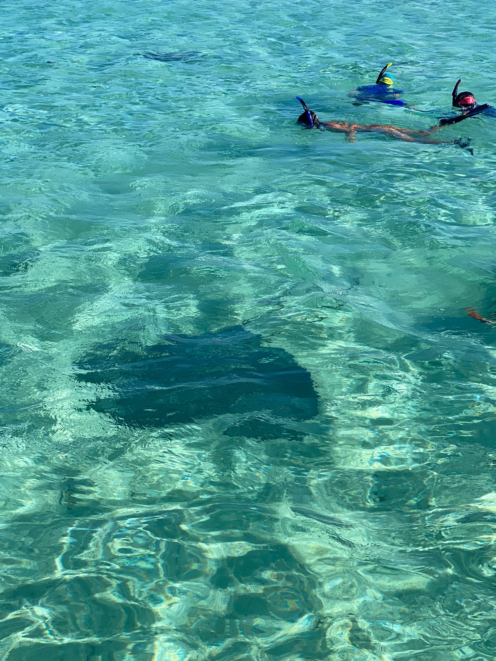 Snorkeling dans le lagon près des motu de Tiahura à Moorea
