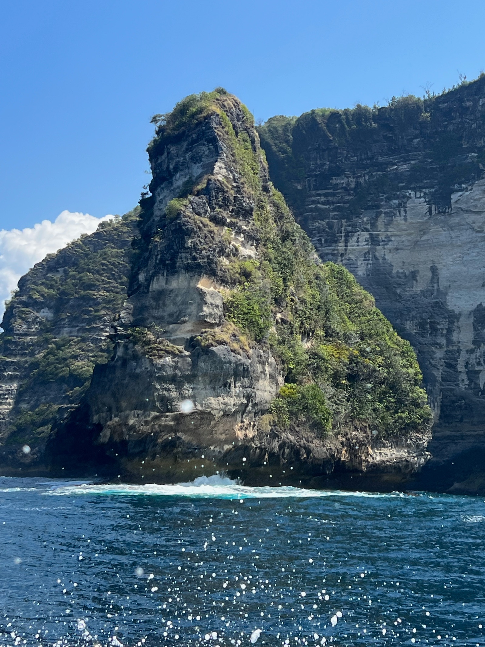 Pic rocheux couvert de végétation au pied des falaises de Nusa Penida