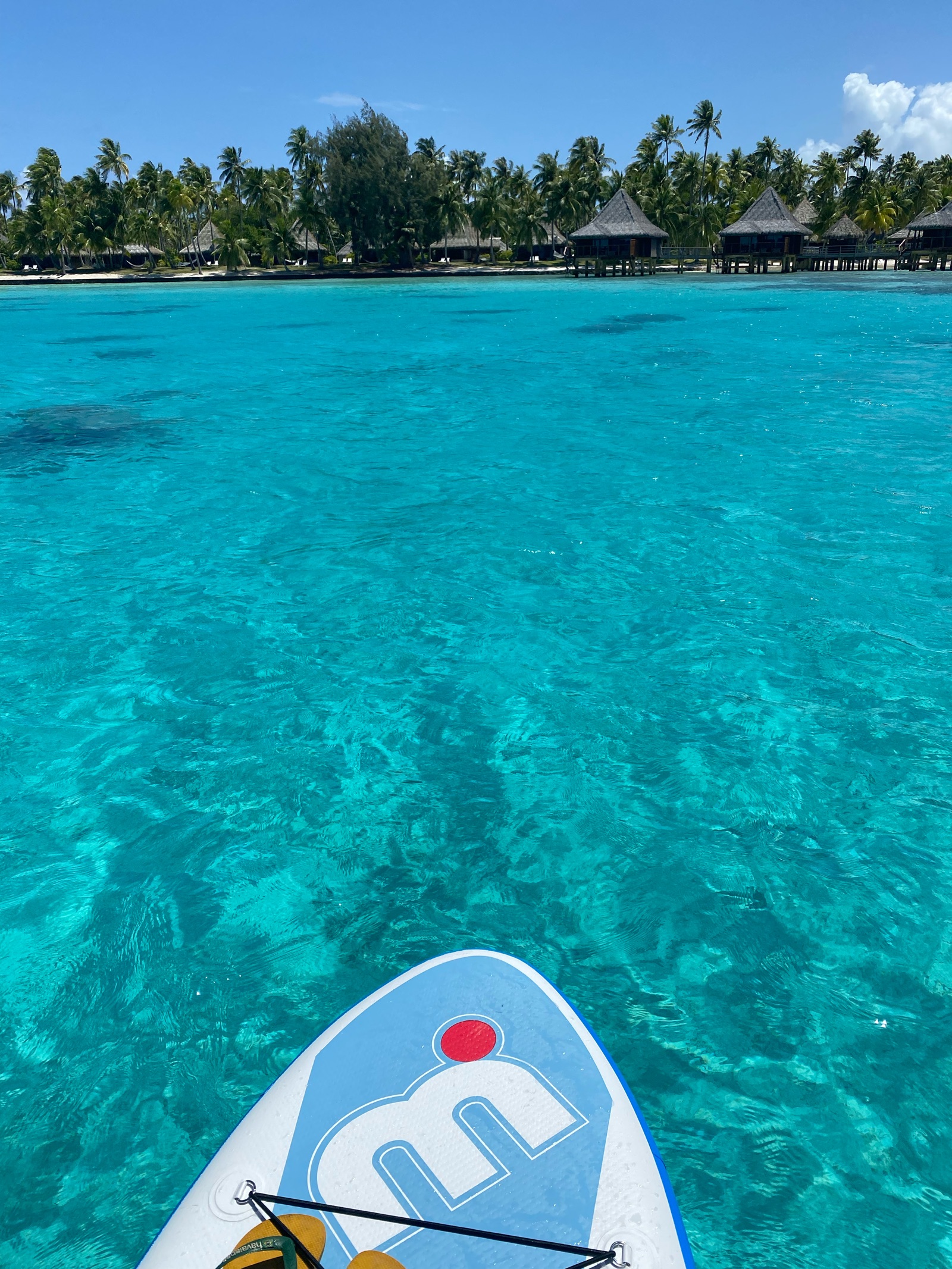 Lagon transparent de Rangiroa vu depuis un paddle
