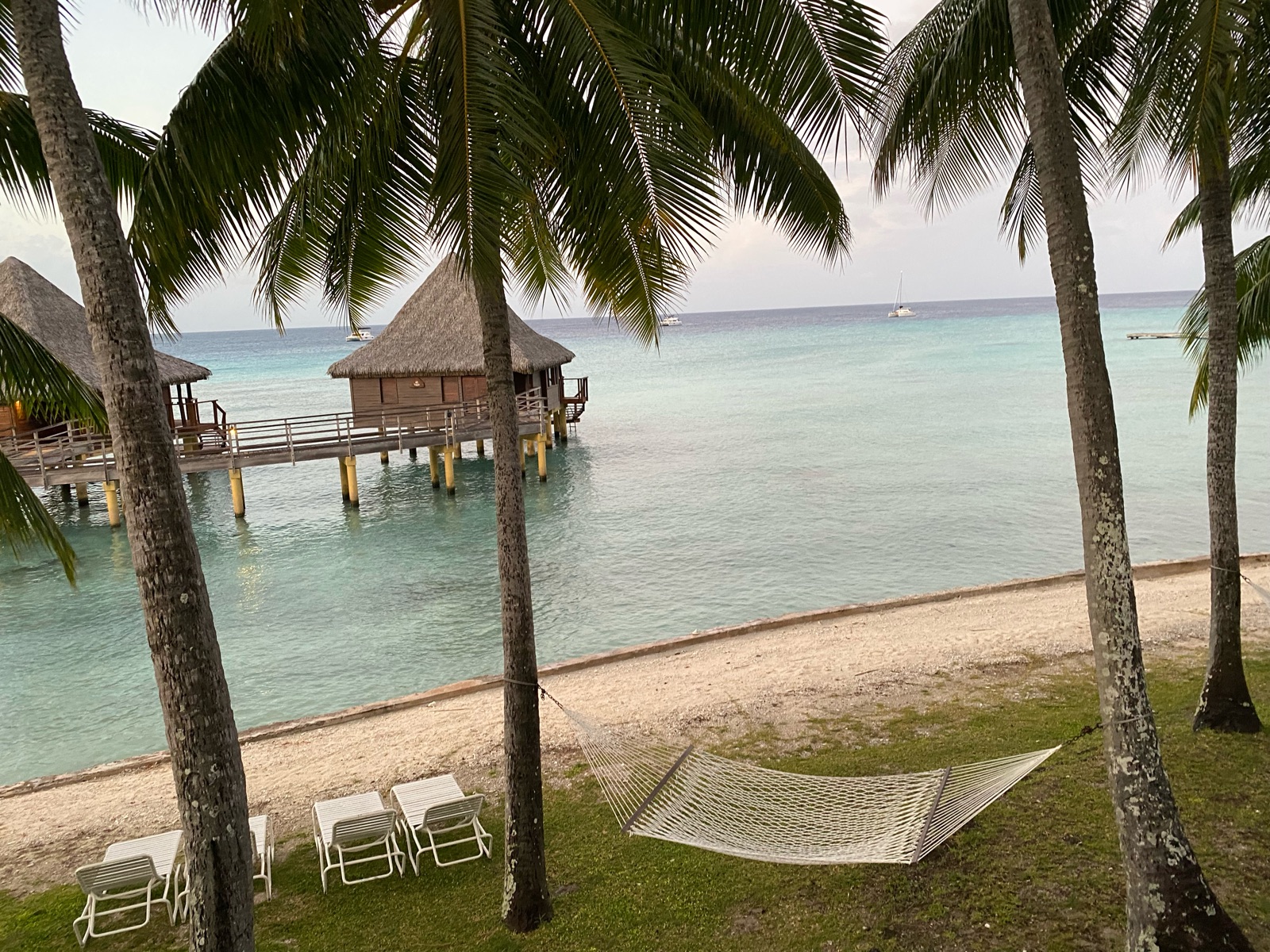 Pontons et cocotiers au bord du lagon de Rangiroa