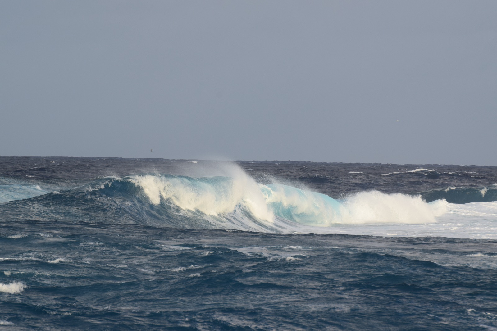 Vagues de l'océan se brisant sur le récif de Rangiroa