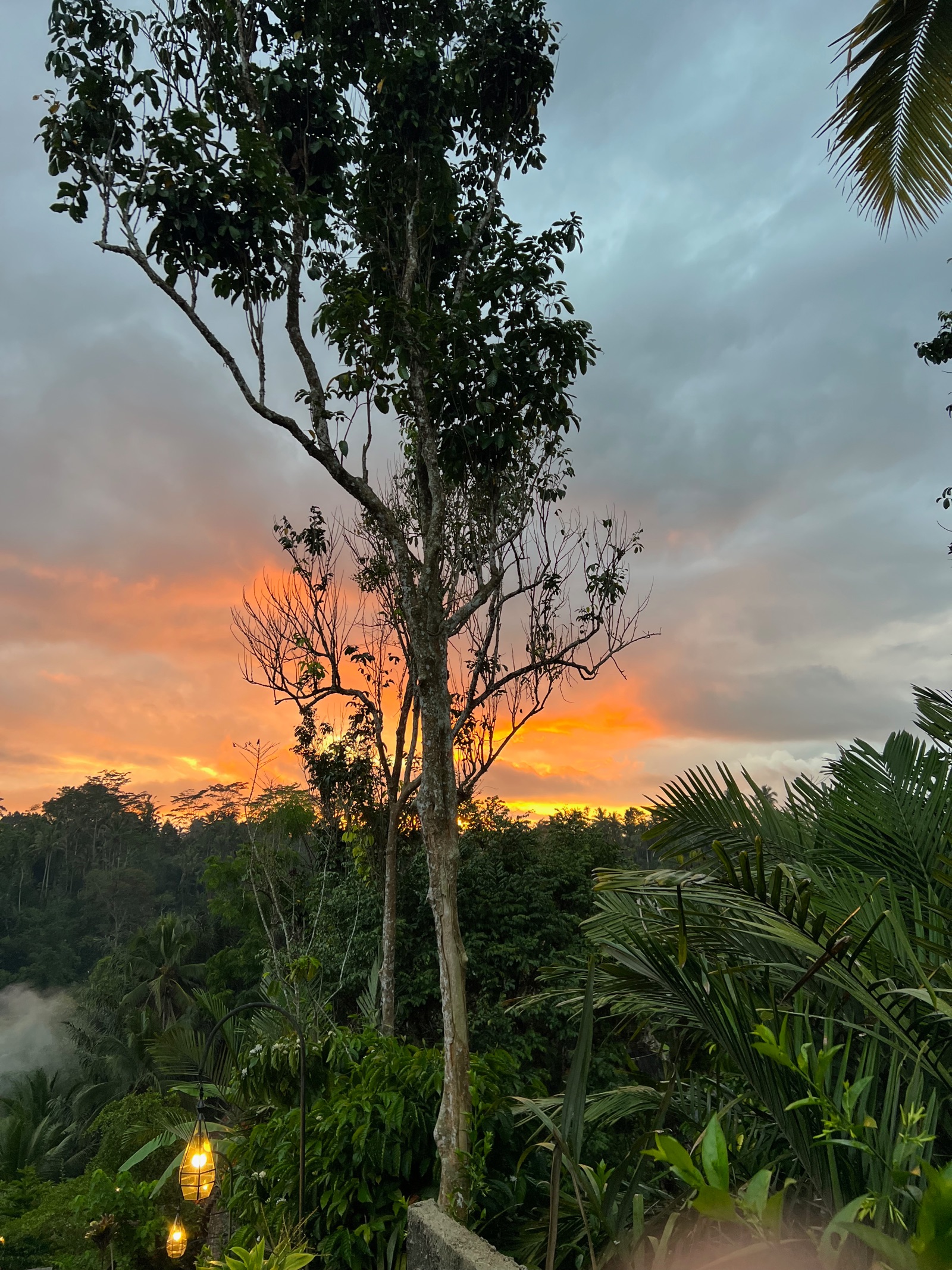 Coucher de soleil orangé sur la jungle près d'Ubud