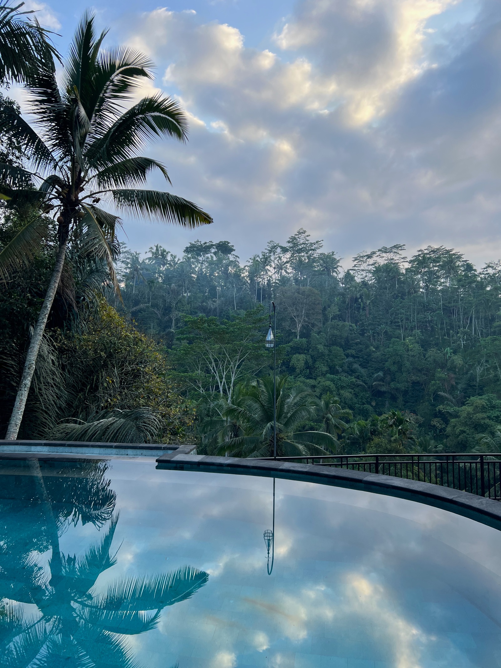 Piscine à débordement face à la jungle près d'Ubud